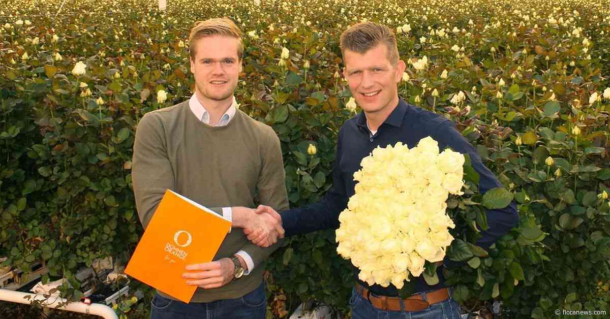 Samenwerking Dümmen Orange en telers Avalanche+ roos verlengd