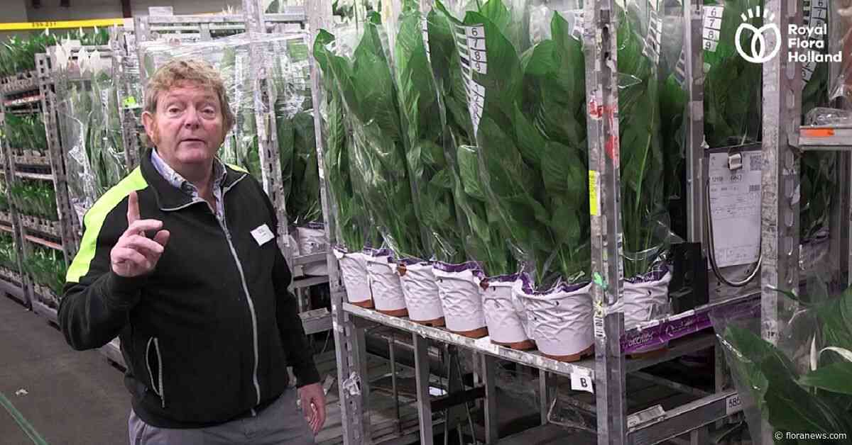 Waarom het plantenpaspoort? Veilingmeester Erik Boland vertelt.