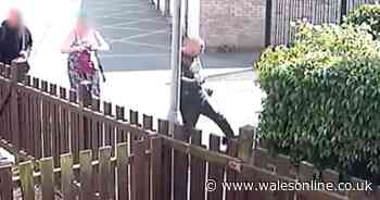 CCTV shows horrific moment man boots cat into bushes