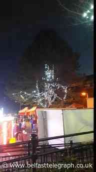 Howls of laughter greet Kilkeel Christmas tree 'disaster'