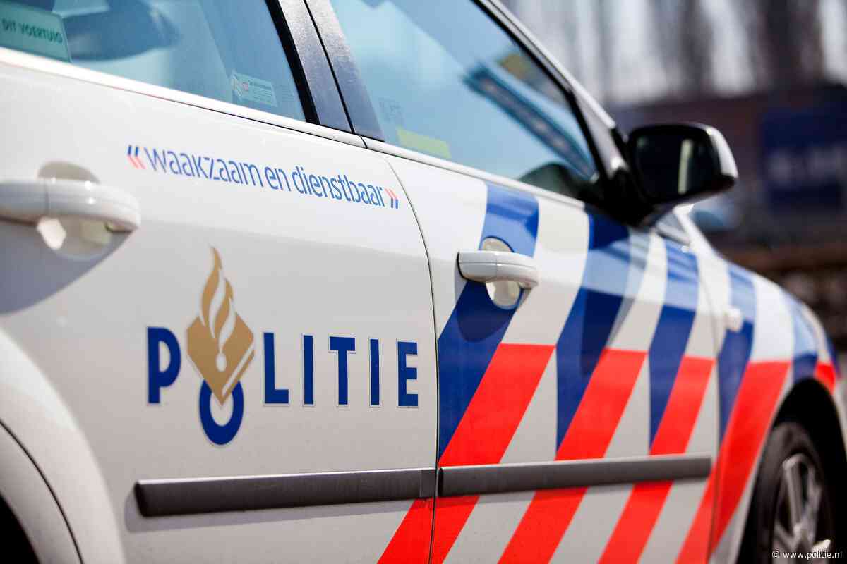 Haarlem - Bejaarde vrouw overvallen in woning: getuigen gezocht!