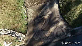 Woman Creates Masterpieces With Only a Dirty Driveway and a Powerwasher