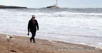 North East set for frosty spells as wintry weather continues