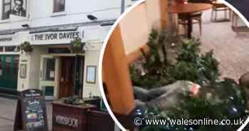 'Drunk idiot' destroys Wetherspoons pub Christmas tree staff spent hours decorating