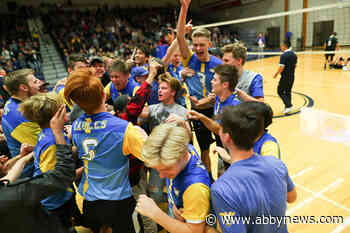 MEI Eagles senior boys win volleyball provincial title