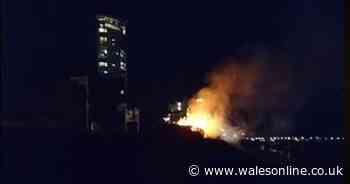 Kid on push bike claimed to have 'set Swansea prom on fire' then returned to watch firefighters