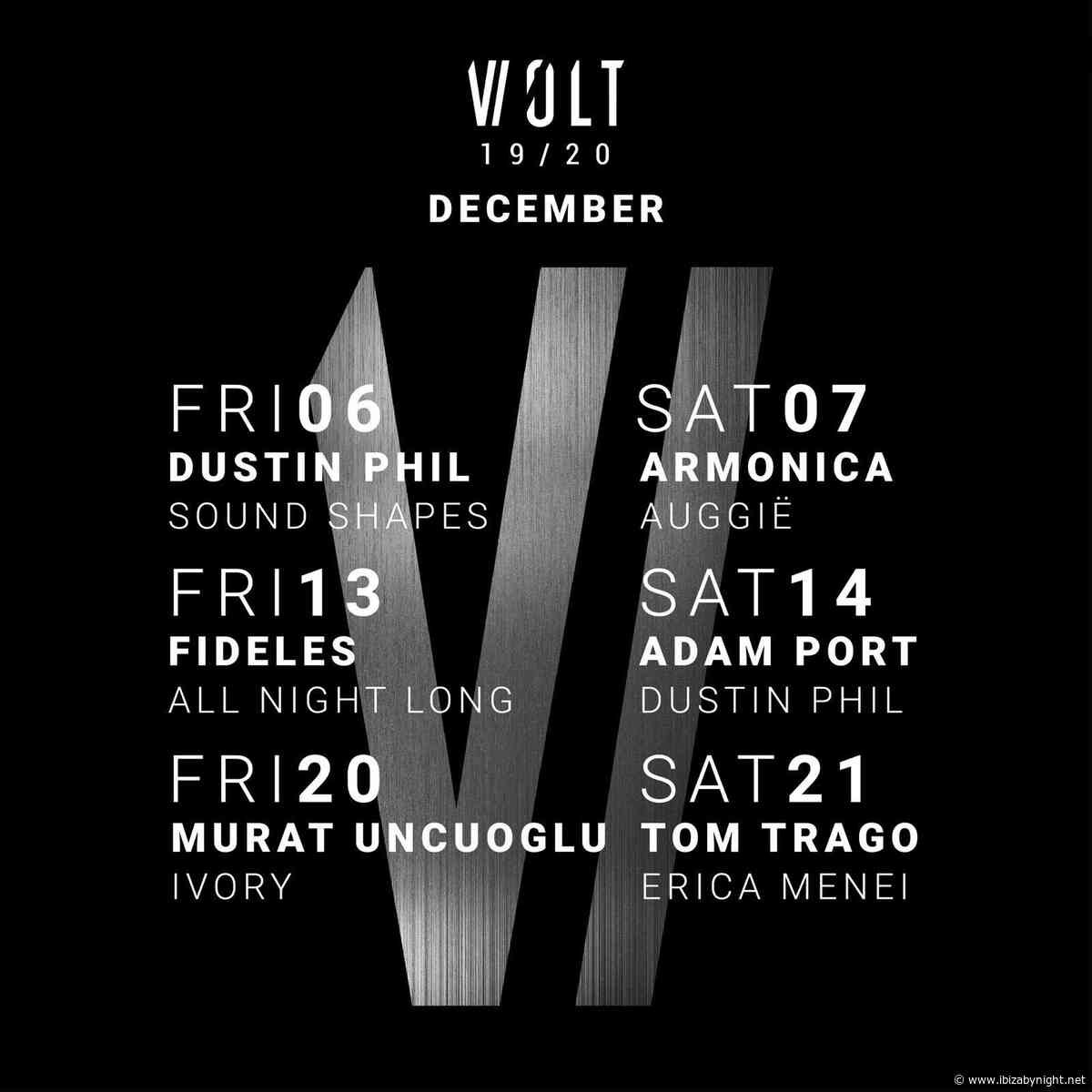 Volt Milano: the program of December 2019!