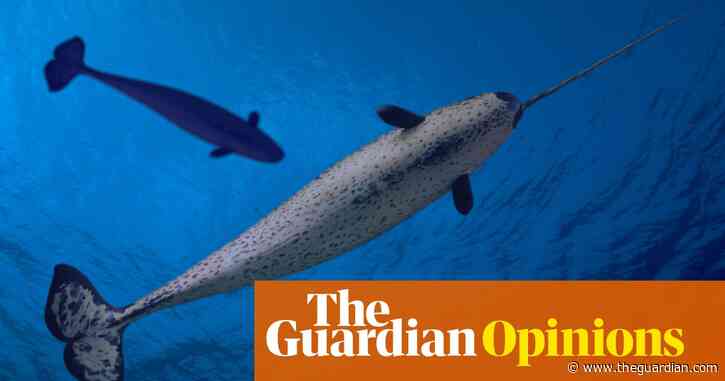 A narwhal tusk was used against the London Bridge attacker – but what is it? | Philip Hoare