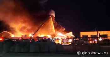 Fire destroys Ponoka slaughterhouse, all animals saved