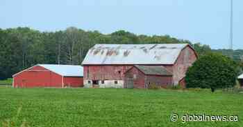 Ontario government introduces bill to protect farmers from animal rights activists