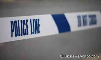 Murder investigation launched after boy, 12, hit by car near school