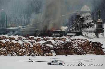 WorkSafeBC changes called for after B.C. sawmill explosions