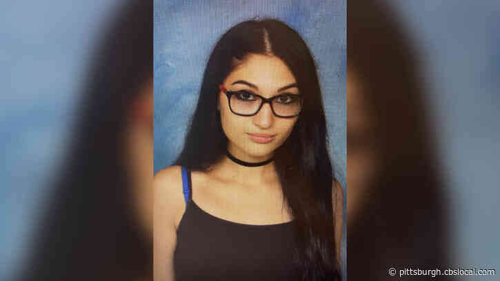 Bethel Park Police Looking For Missing 17-Year-Old Alexa Vicker