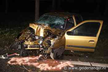 Automobilist gewond door frontale botsing tegen boom op A15 bij Bemmel