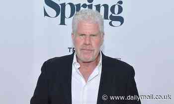 Ron Perlman 'left shaken after driver accidentally drove into group'