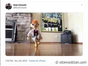 Egan: City council and the poison pen that is Twitter