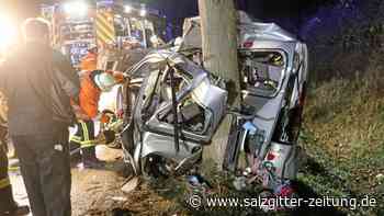 Salzgitter: Auto fuhr gegen Baum, Fahrerin schwer verletzt