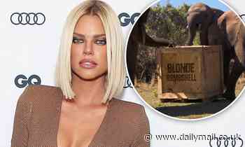 Sophie Mon may enter the I'm A Celebrity Australia jungle after promo announces reality TV bombshell