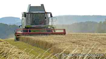 Liberal Democrats urge PM to protect UK farmers in US trade deal talks