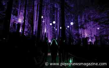 Vallea Lumina: Whistler's enchanted forest