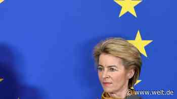 Ausgerechnet jetzt attackiert von der Leyen das Herz von Google