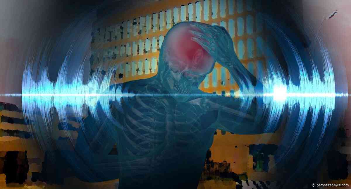 Setting Brushfires 12-02-2019: NSA Whistleblower Karen Stewart Exposes Treasonous Policy Of Neuroweapons Use On Citizens