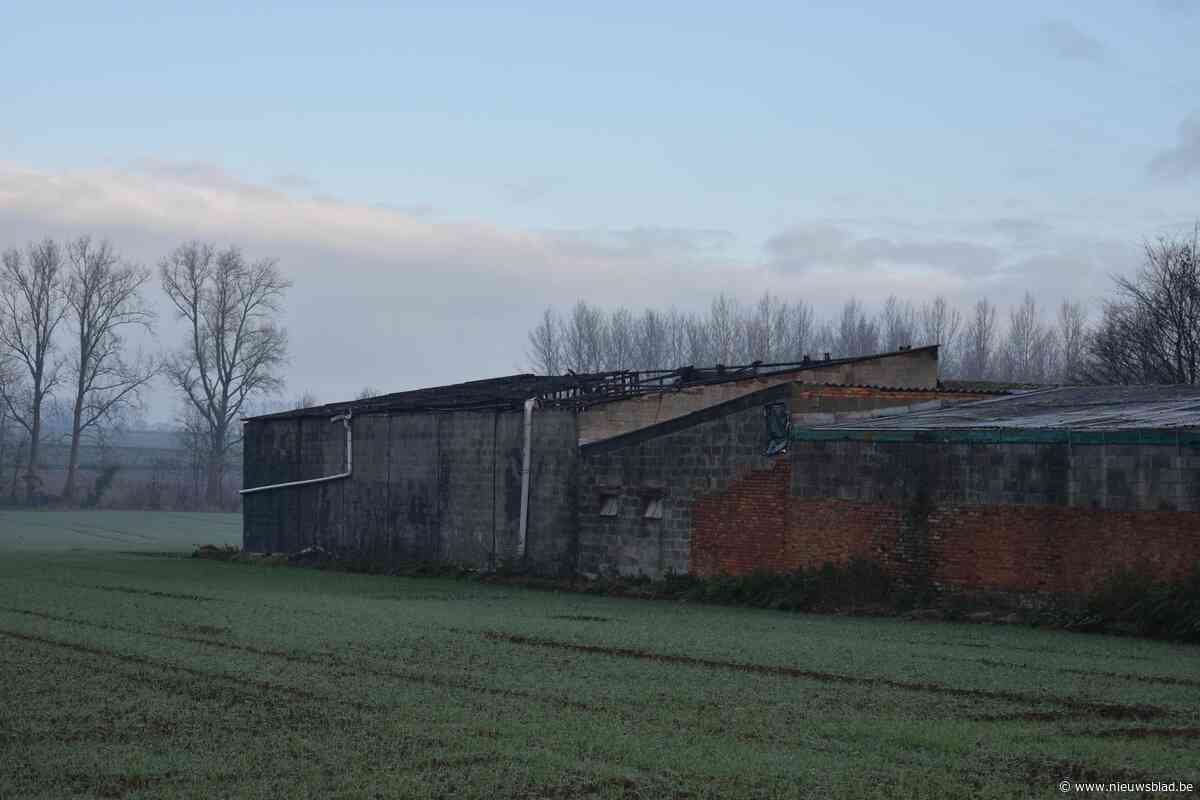 Ook asbest vrijgekomen bij stalbrand die honderden hooibalen vernielt