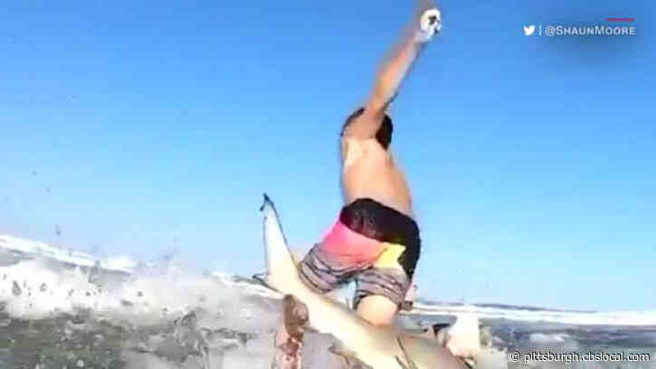 Shark Knocks 7-Year-Old Surfer Off Surfboard