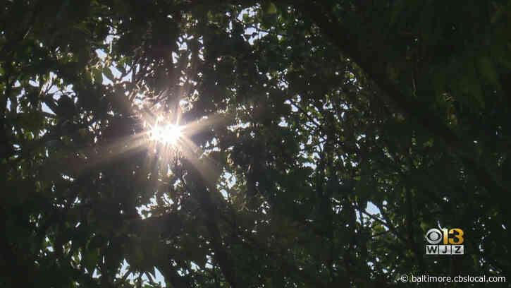 Warming Temperatures Put Women At Risk Of Giving Birth Early, Study Says