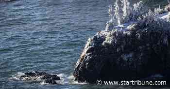 Popular North Shore sea stack falls victim to powerful winter storm.