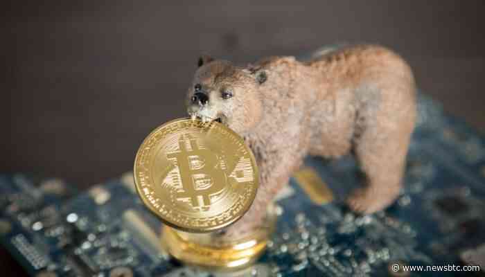 Bitcoin Bears Back as Sentiment Wanes, Will BTC Drop to $6,000?