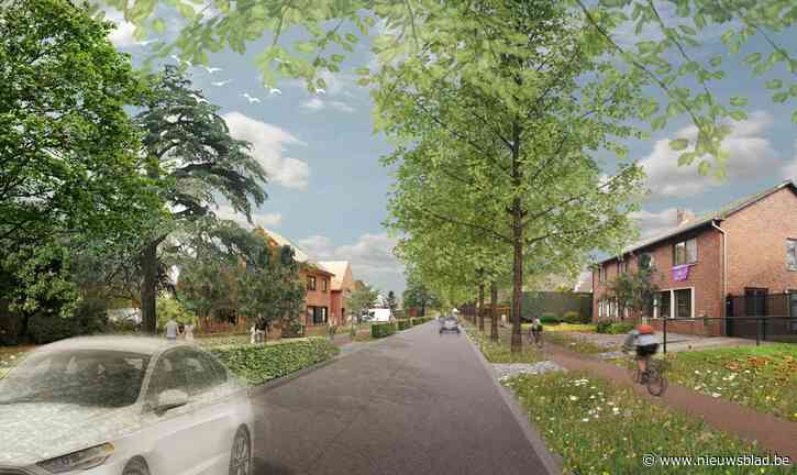 Bezwaren tegen plannen herinrichting Koning Albertlaan en Koningin Astridlaan: “Nieuwe stadslaan zal stad veel geld kosten”