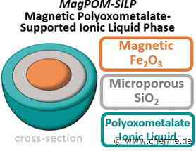 Magnetische Nanopartikel mit ionischen Flüssigkeiten für die Wasseraufbereitung