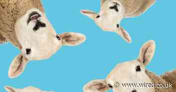 Your obsession with sleep trackers is way less healthy than you think