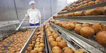 Vijf dingen die je wilt weten over oliebollen