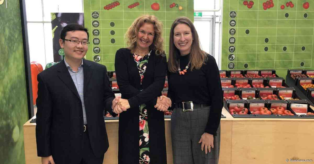Adviesbureau Dutch Sino sluit als partner aan bij Tomatoworld