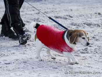 Weather: Clear skies Tuesday, but there's some snow on the way