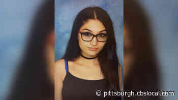 Bethel Park Police Find Missing 17-Year-Old Alexa Vicker