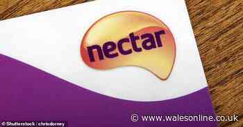 Sainsbury's shoppers find hundreds of pounds worth of Nectar points are stolen from their accounts