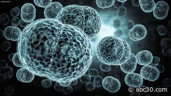 Bacterial meningitis: How to protect yourself from potentially fatal illness