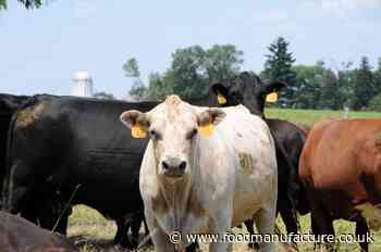Müller reveals cattle welfare incentive plans