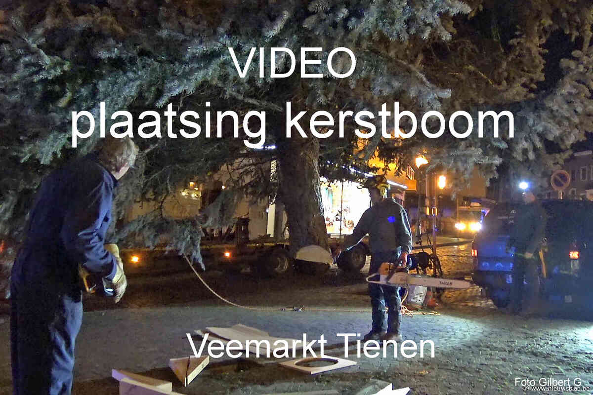 VIDEO. Volle dagtaak voor één kerstboom