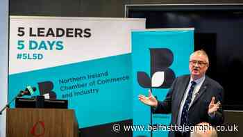 Invest in infrastructure before 'fantasy' bridge to Scotland – Steve Aiken