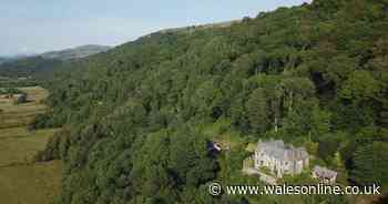 Childhood woodland holiday home of famous poet is for sale and it has the most incredible views