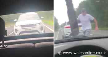 Range Rover driver 'deliberately intimidated' motorist then punched her car