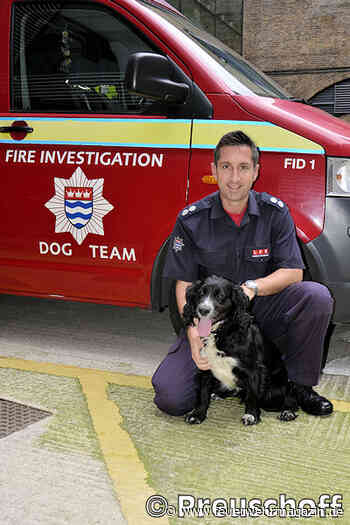 Feuerwehrhund Sherlock im Einsatz