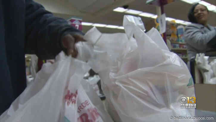 Howard County Council Passed The Five-Cent Disposable Bag Fee Bill