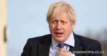 Andrew Neil says BBC still waiting on Boris Johnson to agree to interview but so far 'not a sausage'