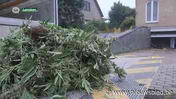 VIDEO. Drugsvangst in hypermoderne plantage in Lanakense villa