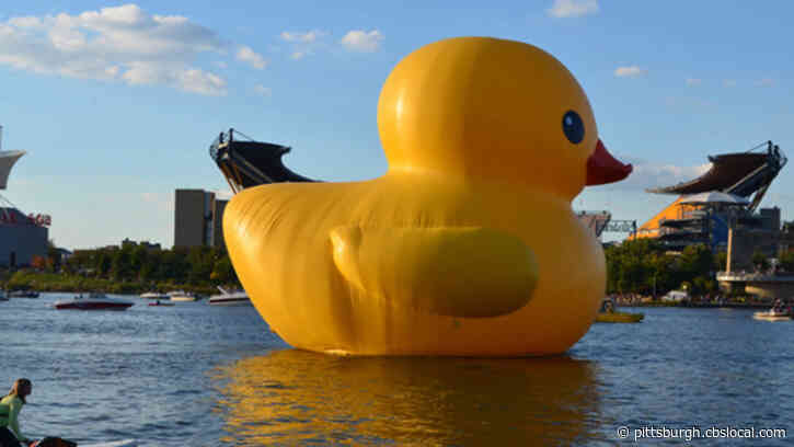 Pittsburghers Petition To Bring Back Giant Rubber Duck In Honor Of Steelers QB Devlin Hodges